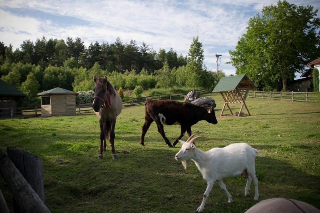 Zielone Wzgorza Villa Bytów Dış mekan fotoğraf